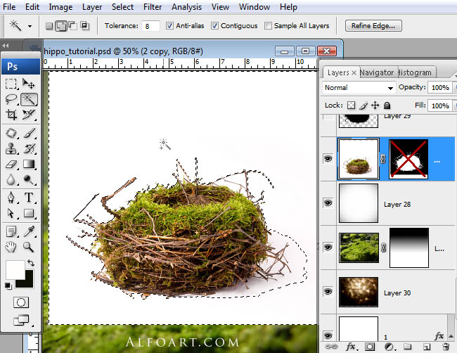 hippo, photoshop, nest, egg, shell, flying hippo, cute, baby, wings, hippopotamus, feathers